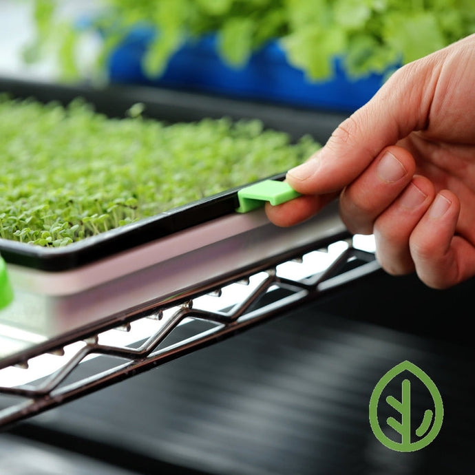 What are Microgreen Tray Clips? Why do you need this product on your trays.