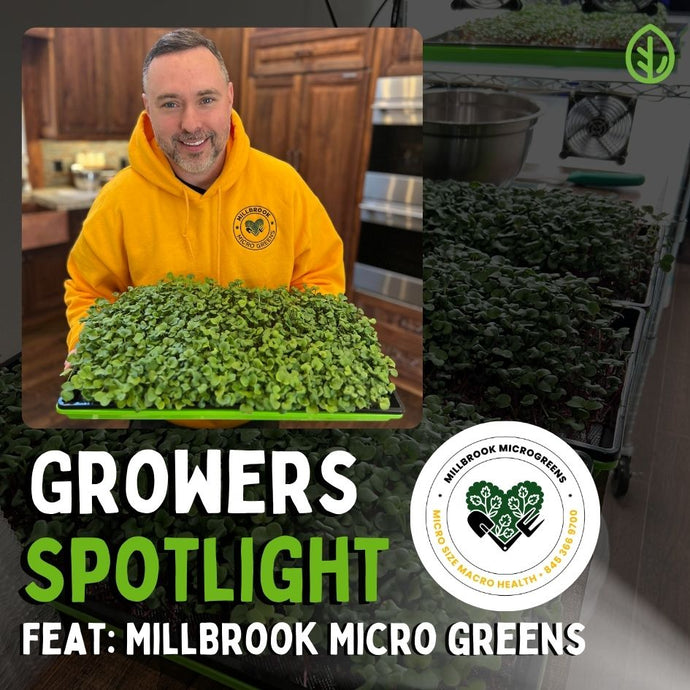 Growers Spotlight: Sowing Sustainability with Millbrook Micro Greens