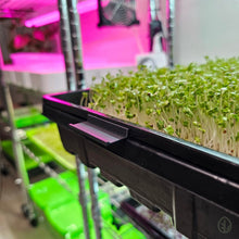 Load image into Gallery viewer, Black - Microgreen Tray Clip Labeler installed on Microgreen Tray