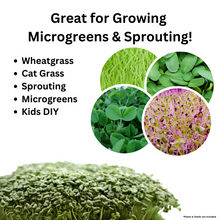 Load image into Gallery viewer, Deep Sprouting Ideas for Use with Greens #2