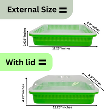 Load image into Gallery viewer, Deep Sprouting Tray external Size