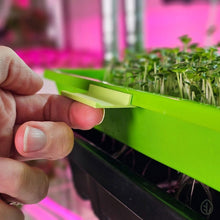Charger l'image dans la galerie, Microgreen Tray Clip Labelers - 10 pack - Lime on tray lifting