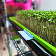 Charger l'image dans la galerie, Microgreen Tray Clip Labelers - 10 pack - Morning Blue on tray