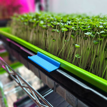 Load image into Gallery viewer, Microgreen Tray Clip Labelers - 10 pack - Sapphire Blue on tray