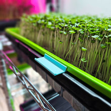 Load image into Gallery viewer, Microgreen Tray Clip Labelers - 10 pack - Teal on tray