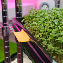 Charger l'image dans la galerie, Microgreen Tray Clip Labelers - 10 pack - Yellow on tray