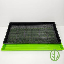 Load image into Gallery viewer, Bootstrap Farmer 10x20 heavy duty shallow microgreen tray single set with black mesh tray on green no-hole tray, angled view