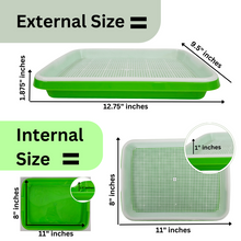 Load image into Gallery viewer, Infographic showing external and internal dimensions of the large sprouting tray: 12.75 by 9.5 inches external, 11 by 8 inches internal