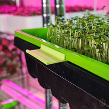 Load image into Gallery viewer, Lime On The Grow microgreen tray clip labeler clipped to the side of a Bootstrap Farmer tray with microgreens growing
