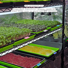 Load image into Gallery viewer, Angled view of a microgreen grow rack with trays labeled using colorful On The Grow tray clip labelers at various growth stages