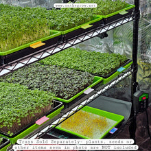Charger l'image dans la galerie, trays of organized microgreens on a grow rack with on the grow tray clip labelers attached to trays