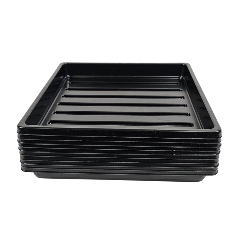 plant trays for indoors 10x10 Shallow Microgreen Growing Trays – With or Without Holes