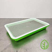 Cargar imagen en el visor de la galería, On The Grow stainless steel reusable grow medium in a small green sprouting tray, product shot on white background