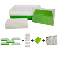 Load image into Gallery viewer, Graphic showing all items included in the On The Grow small sprouting tray kit: trays, reusable silicone grow mediums, scraper tool, and grow guide