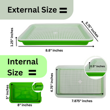 Load image into Gallery viewer, Infographic showing external and internal dimensions of the small sprouting tray: 8.8 by 5.75 inches external, 8 by 5 inches internal