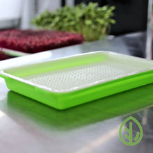 Load image into Gallery viewer, One Small Microgreen Grow Tray / Sprouting tray
