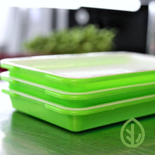 Load image into Gallery viewer, Set of Three Small Microgreen Grow Tray / Sprouting tray