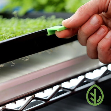 Lime Green Microgreen tray clip installed onto Bootstrap farmer 1020 mesh microgreen tray with microgreens growing