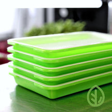 Load image into Gallery viewer, Five small sprouting trays stacked together showing the green no-hole water trays and white mesh inserts