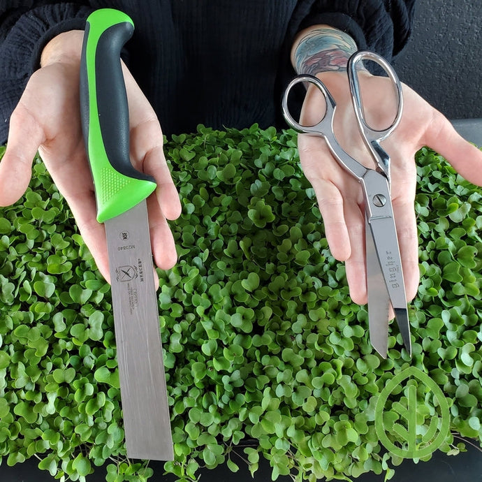Harvesting Knife or Sharp Scissors? What tool works best for harvesting microgreens