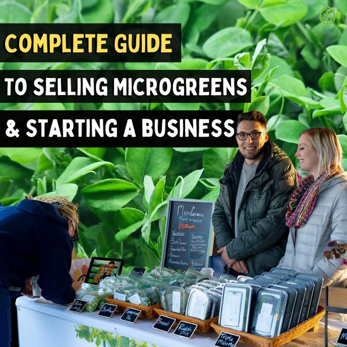 A Complete Guide to Selling Microgreens & Starting a Microgreens Business