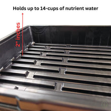 Load image into Gallery viewer, 10x20 Kratky Tray Kit - 2inch Deep Tray Side View
