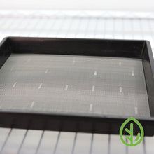Load image into Gallery viewer, 10x10 Reusable Microgreen Grow Medium in tray
