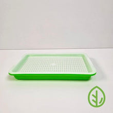 Load image into Gallery viewer, Small Sprouting Tray Silicone Reusable Grow Medium
