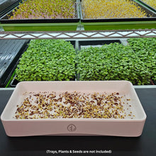 Load image into Gallery viewer, 7x14 - White Tray Silicone with Microgreen seeds planted, and microgreens growing in the background
