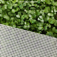 Load image into Gallery viewer, 7x14 - White Tray silicone with Broccoli Microgreens
