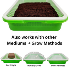 Load image into Gallery viewer, Deep Sprouting Tray Mediums &amp; grow methods
