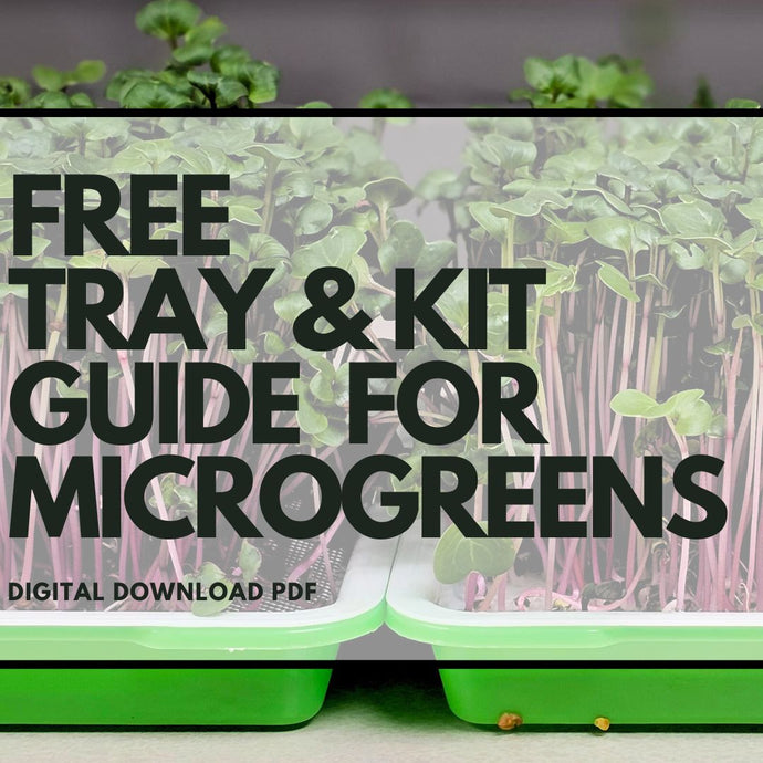 Free Tray & Kit Guide for Growing Microgreens