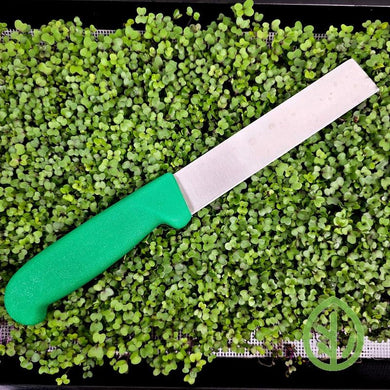 Green Handled Harvesting Knife on Microgreens
