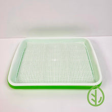 Load image into Gallery viewer, Large Sprouting Tray Silicone Reusable Grow Medium
