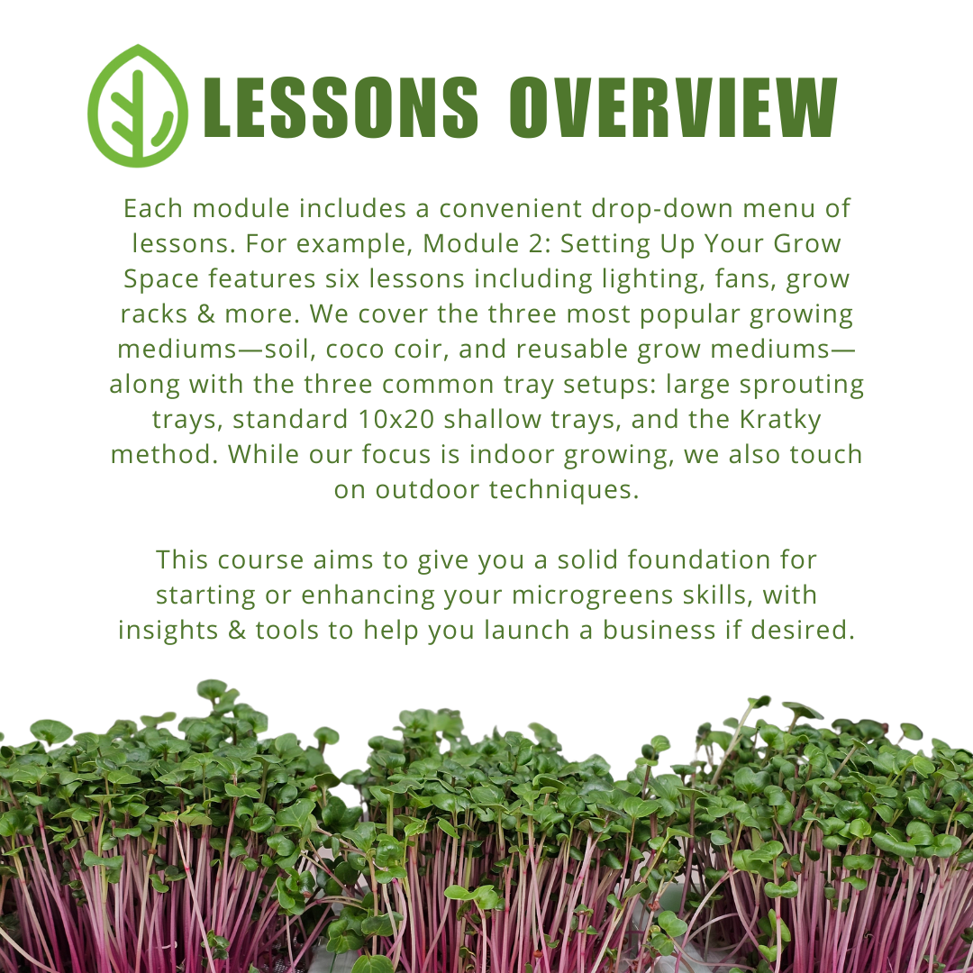 Lessons - Microgreen Masterclass online course by On The Grow