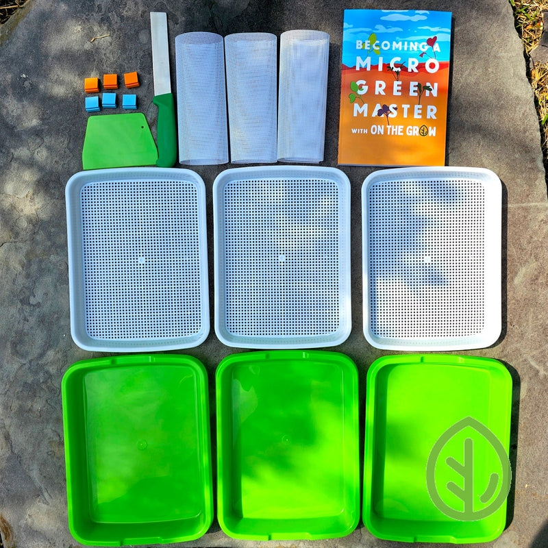 Plano Micro Organizer Clear Green