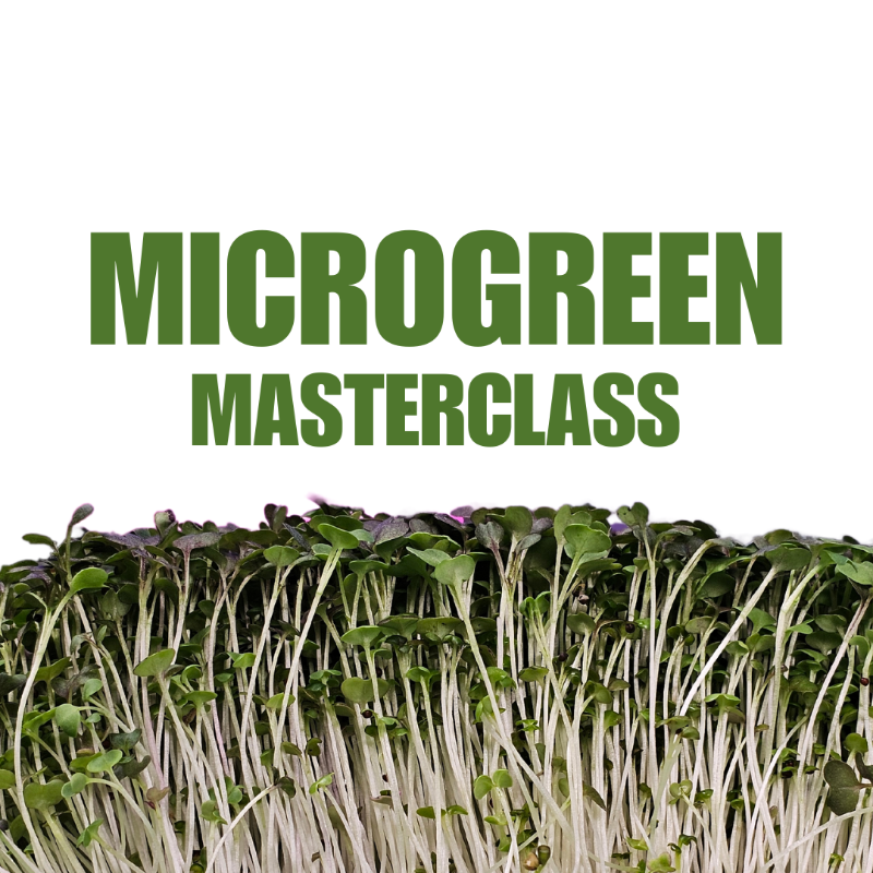 Microgreen Masterclass Onlines Course by On The Grow 