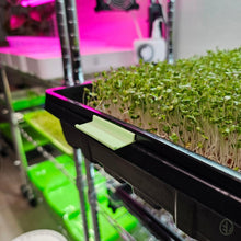 Load image into Gallery viewer, Mint - Microgreen Tray Clip Labeler installed on Microgreen Tray
