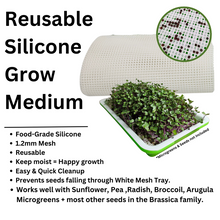 Load image into Gallery viewer, Small Sprouting Tray Kit Silicone Reusable Grow Medium
