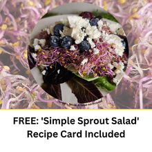 Load image into Gallery viewer, Purple Kohlrabi Sprouts On a salad with Blueberries Recipe Car
