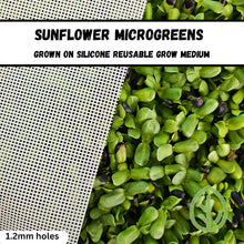 Load image into Gallery viewer, Sunflower Microgreens grown on Silicone Reusable Grow Medium
