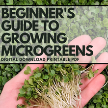 Charger l'image dans la galerie, Beginner's Guide to Growing Microgreens digital PDF download cover, hand holding fresh microgreens
