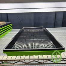 Load image into Gallery viewer, Bootstrap Farmer 10x20 heavy duty shallow microgreen tray single set with black mesh tray on green no-hole tray displayed on a grow rack shelf
