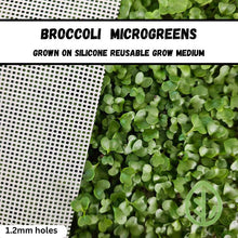 Load image into Gallery viewer, Broccoli microgreens grown on On The Grow silicone reusable grow medium, 1.2mm holes shown alongside dense green canopy
