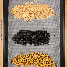 Load image into Gallery viewer, Wheatgrass, sunflower, and pea seeds displayed on the On The Grow 1.7mm large hole reusable silicone grow medium
