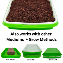 Load image into Gallery viewer, Large sprouting tray shown with coco coir and used as a blackout and stackable tray for microgreens germination
