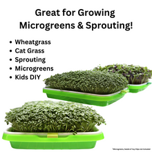 Load image into Gallery viewer, Large sprouting tray kit use case graphic showing microgreens, wheatgrass, cat grass, and sprouting with lush green microgreens growing in trays
