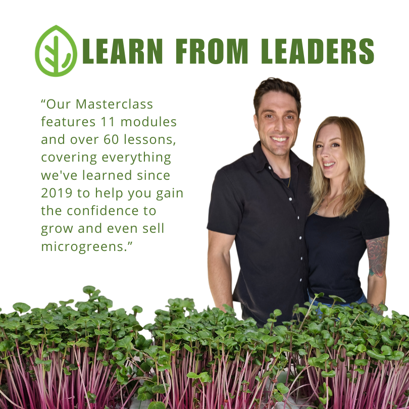 On The Grow founders CJ and Mandi presenting the Microgreen Masterclass, 11 modules and 60 lessons on growing microgreens