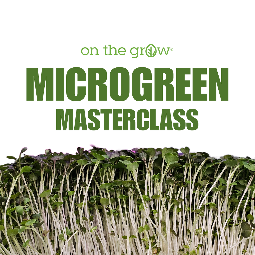 Microgreens Masterclass | Learn to Grow Microgreens Indoors – On The Grow