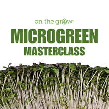 Cargar imagen en el visor de la galería, On The Grow Microgreen Masterclass online course cover with harvest-ready red cabbage microgreens
